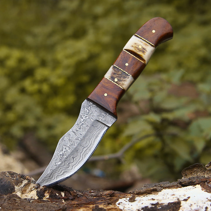 Utility Knife - Mangler Damascus Hunting Knife with Rose Wood & Stag Horn Handle - Shokunin USA
