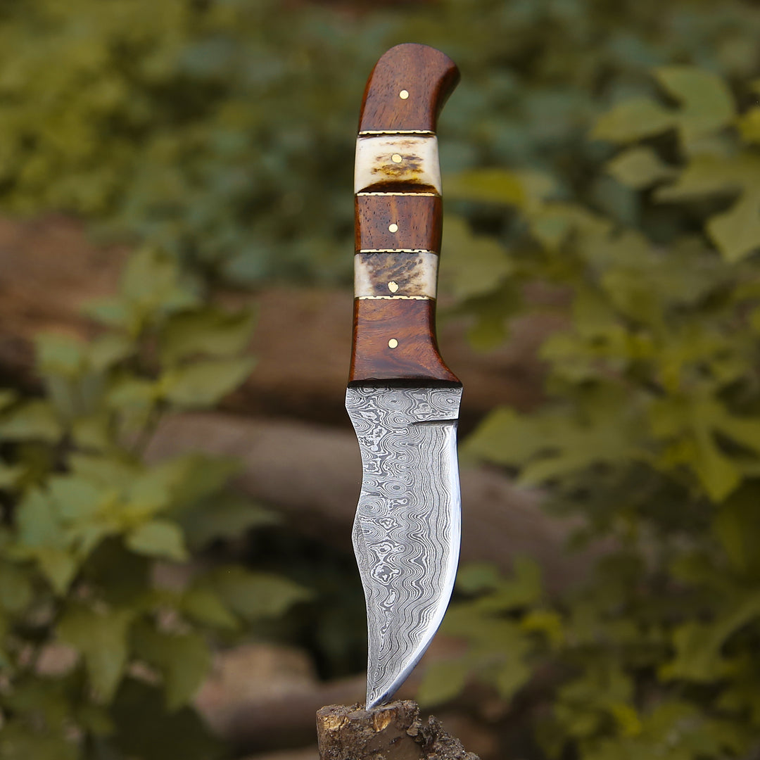 Utility Knife - Mangler Damascus Hunting Knife with Rose Wood & Stag Horn Handle - Shokunin USA