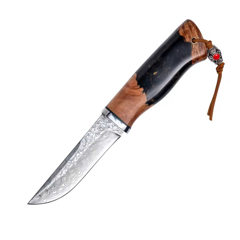 Damascus Knife - Predator Japanese Damascus Steel Knife with Exotic Olive Wood Burl & Resin Handle - Shokunin USA