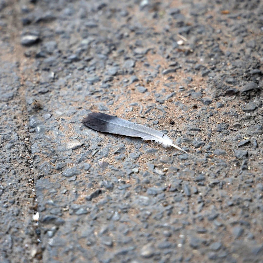 Discovering the Uniqueness of Pocket Knife Brands - Shokunin USA