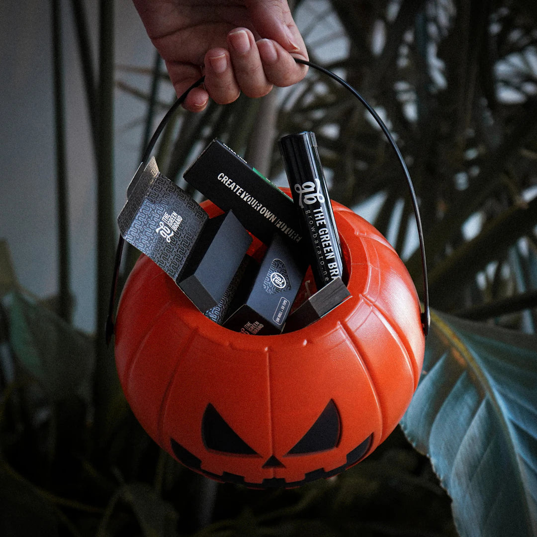 Pocket Knives vs. Multi-Tools Which Is Best for You