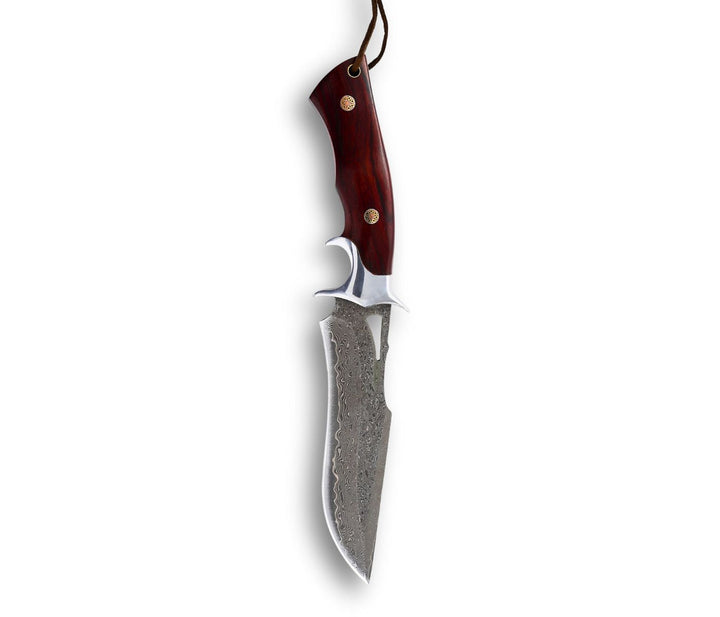 Velar Hunting Knife - Velar Japanese Hunting Knife with VG-10 Damascus Blade and Exotic Red Sandal Wood Handle - Shokunin USA