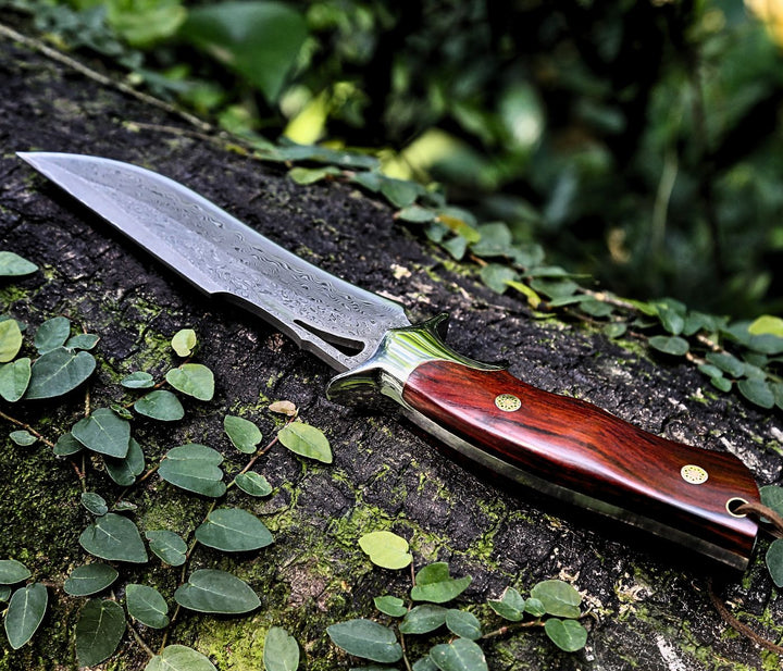 Utility Knife - Velar Japanese Hunting Knife with VG-10 Damacus Blade and Exotic Red Sandal Wood Handle - Shokunin USA