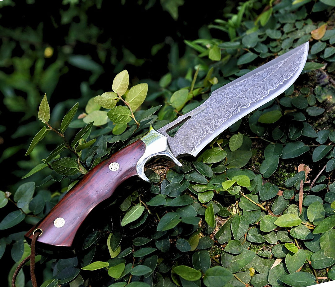 Velar Damascus Knife - Velar Japanese Hunting Knife with VG-10 Damascus Blade and Exotic Red Sandal - Shokunin USA