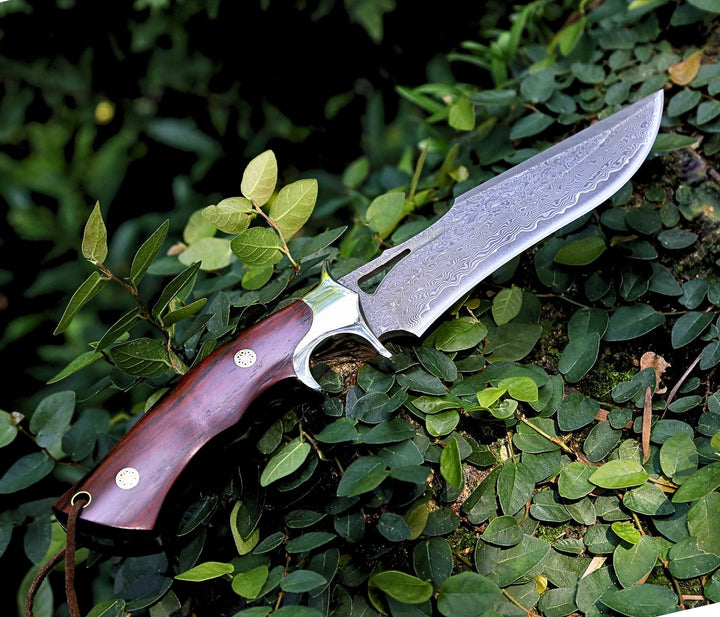 Velar Damascus Knife - Velar Japanese Hunting Knife with VG-10 Damascus Blade and Exotic Red Sandal - Shokunin USA