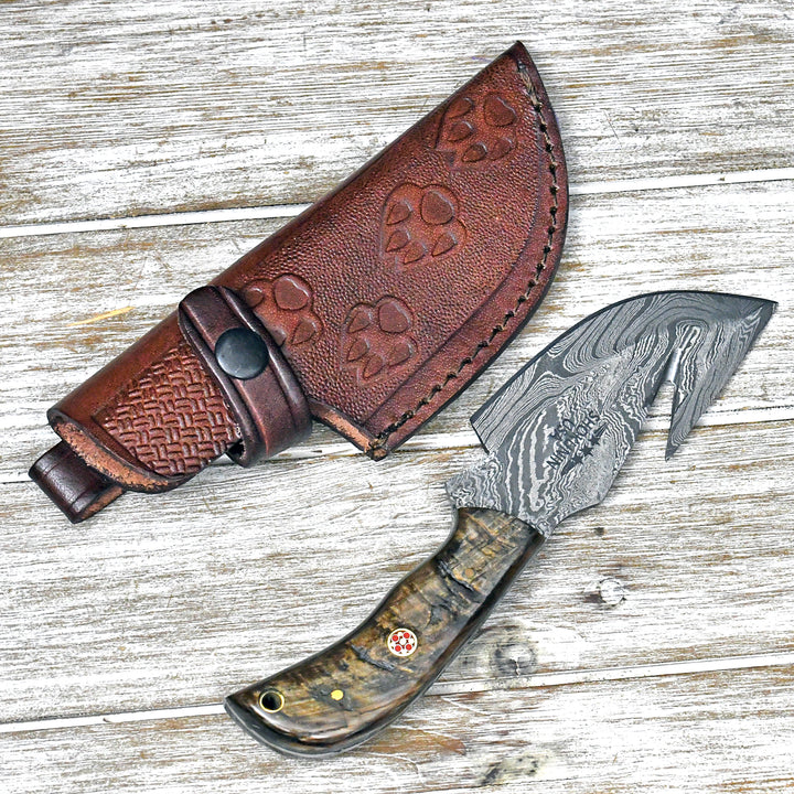 Damascus Knife - Master Gut Hook Knife with Ram Horn and Turquoise Handle - Shokunin USA