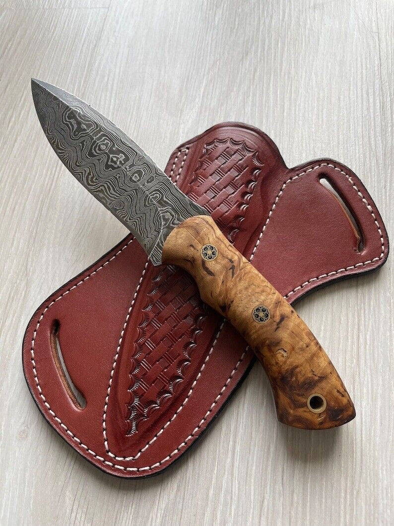 Damascus Knife - Breeze Hunting Knife with of Spalted Mango Wood Handle - Shokunin USA