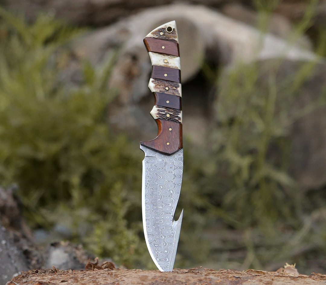 Damascus Knife - Sentinel Gut Hook Hunting Knife With Stag Horn & Exotic Rose Wood Mosaic Handle - Shokunin USA