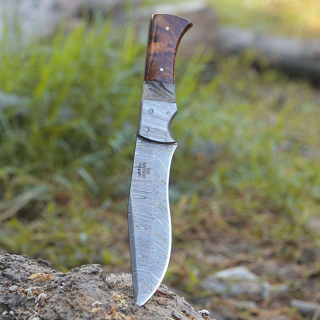 Utility Knife - Stinger Custom Handmade Hunting Knife, With Ram Horn & Rose Wood Handle - Shokunin USA