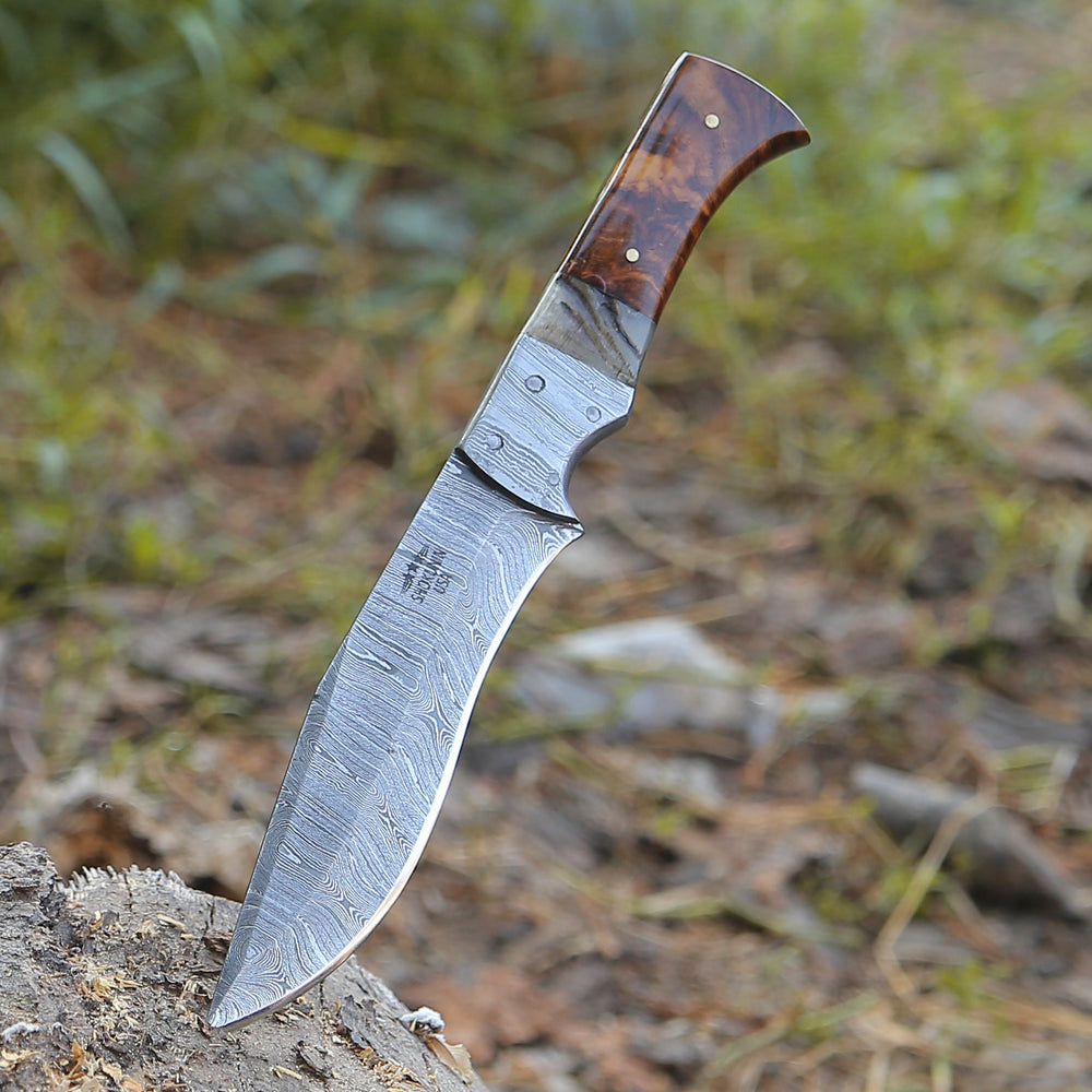 Utility Knife - Stinger Custom Handmade Hunting Knife, With Ram Horn & Rose Wood Handle - Shokunin USA