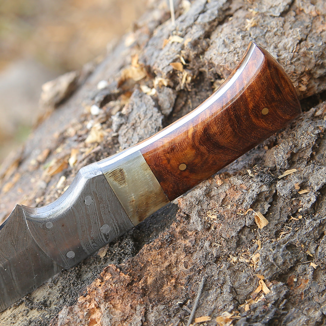 Utility Knife - Stinger Custom Handmade Hunting Knife, With Ram Horn & Rose Wood Handle - Shokunin USA