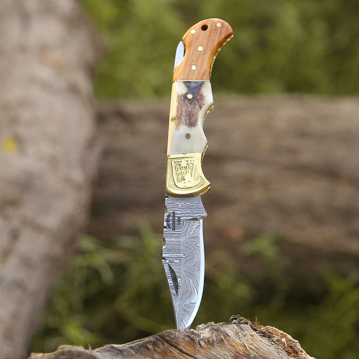 Echo Damascus Pocket Knife with Stag Horn/Antler &amp; Olivewood Handle
