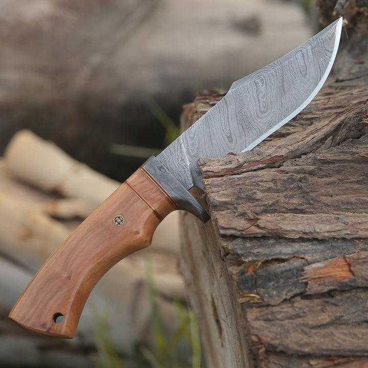 Avatar Bowie Knives – Avatar Damascus Hunting Knife with Exotic Olive Wood Handle – shokuninusa
