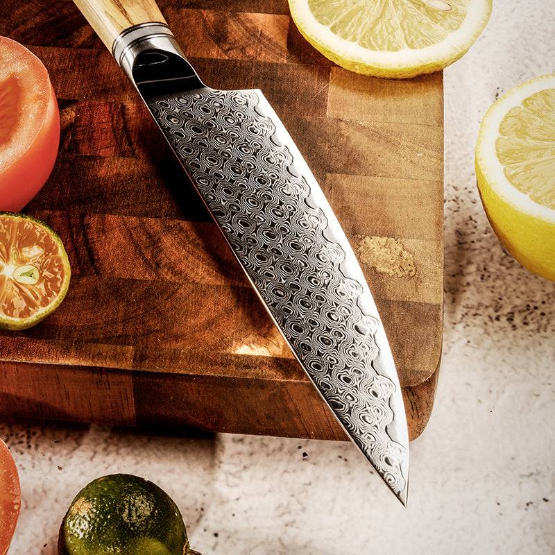 Jasmine Chef Knives – Jasmine Knife Set 5 Piece VG10 Damascus Steel Japanese Professional Chef knife Set. – shokuninusa