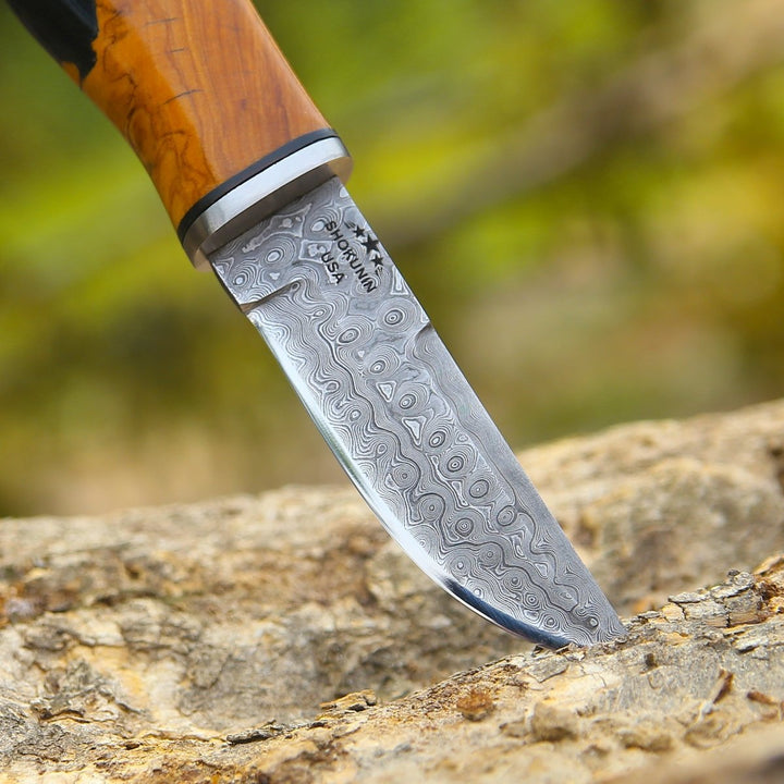 Predator Damascus Steel Knife with Exotic Olive Wood Burl &amp; Resin Handle - Shokunin USA