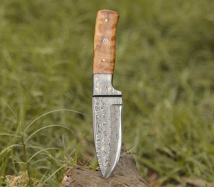Quantum Camp Knife - Quantum Camp Knife with Olive Wood Handle - Shokunin USA