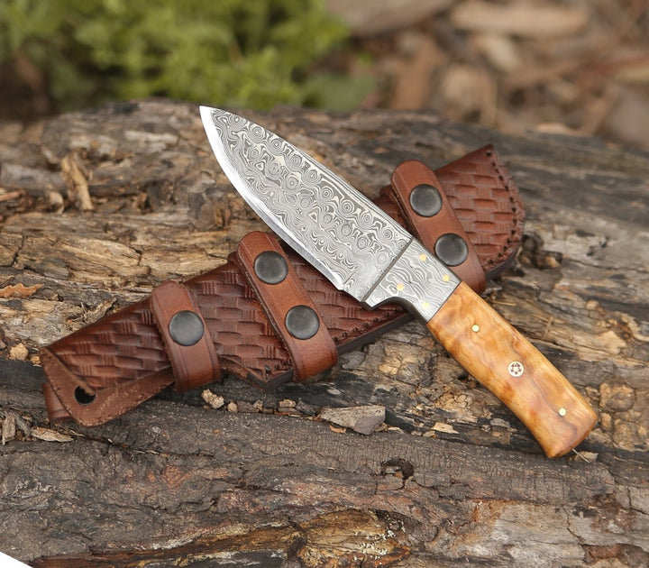 Quantum Camp Knives - Quantum Camp Knife with Olive Wood Handle - Shokunin USA