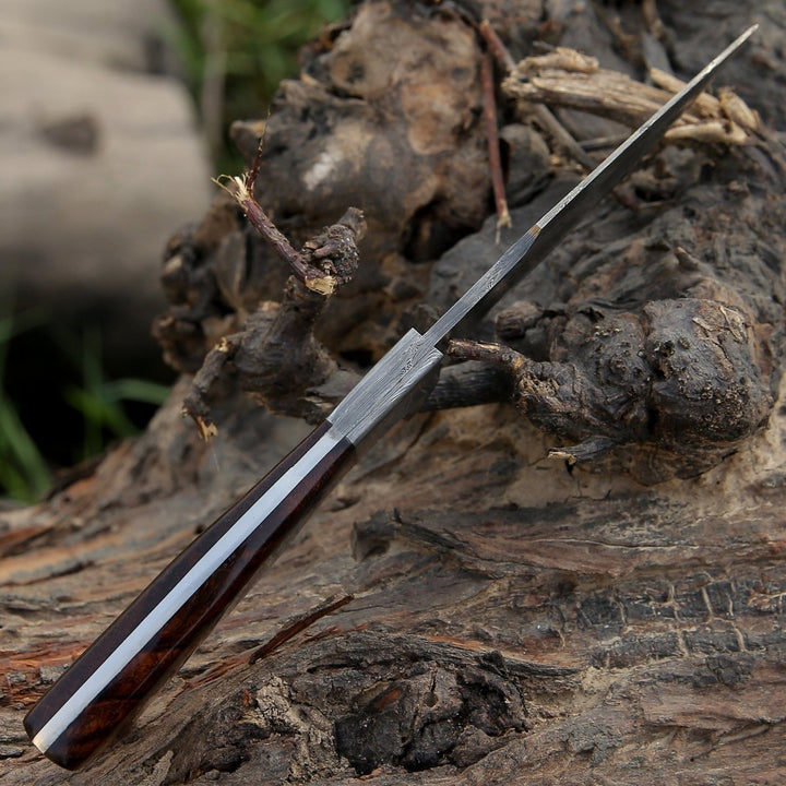 Radiant Survival Knife – Radiant Damascus Hunting Knife with Rosewood Handle – shokuninusa