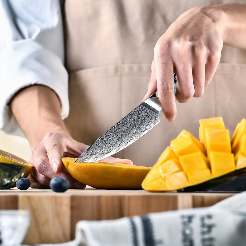 Ronin Kitchen Knife – Ronin Japanese Handmade Chef Knife VG10 Damascus Petty Knife with Abalone Shell Handle – shokuninusa
