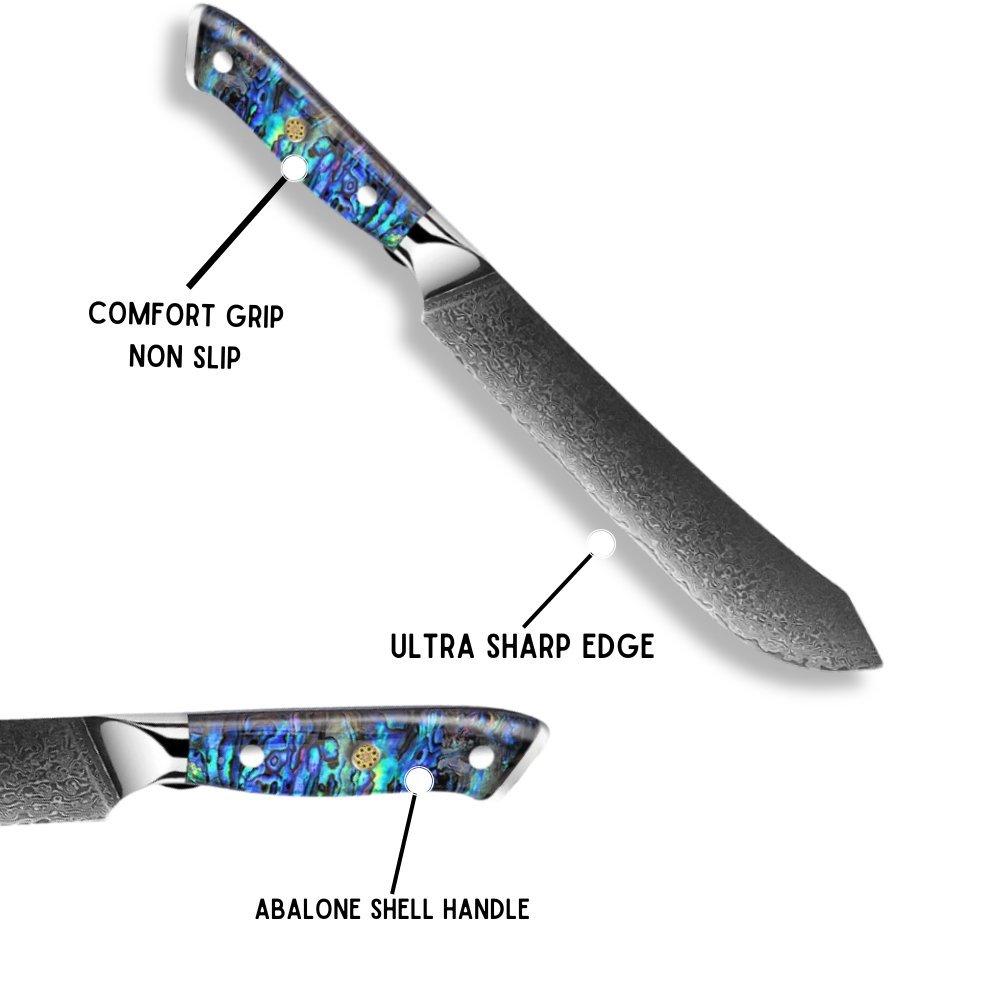 Knife Ronin VG10 – Ronin Custom VG10 9" Chef Knife Damascus Steel Knife with Abalone Shell Handle – shokuninusa