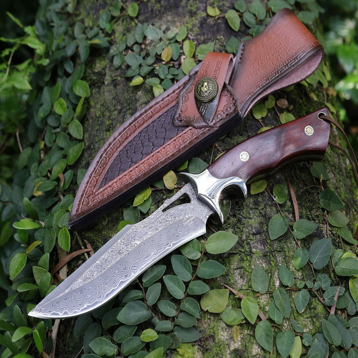 Traditional Hunting Knife – Velar Japanese Hunting Knife with VG-10 Damascus Blade and Exotic Red Sandal Wood Handle – shokuninusa