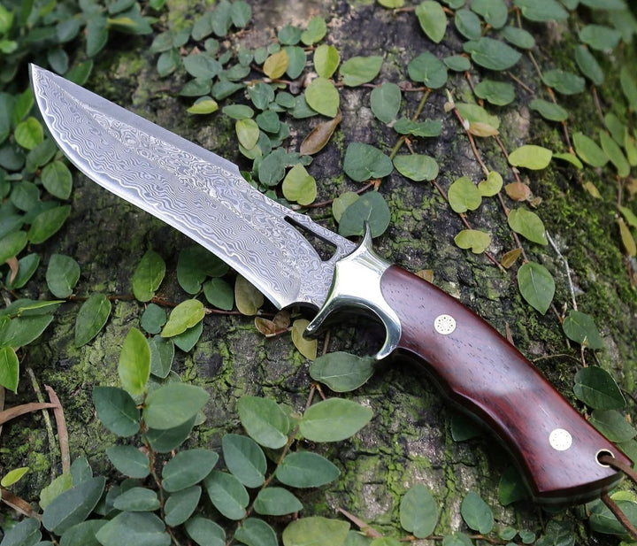 Velar Knives – Velar Japanese Hunting Knife with VG-10 Damascus Blade and Exotic Red Sandal Wood Handle – shokuninusa