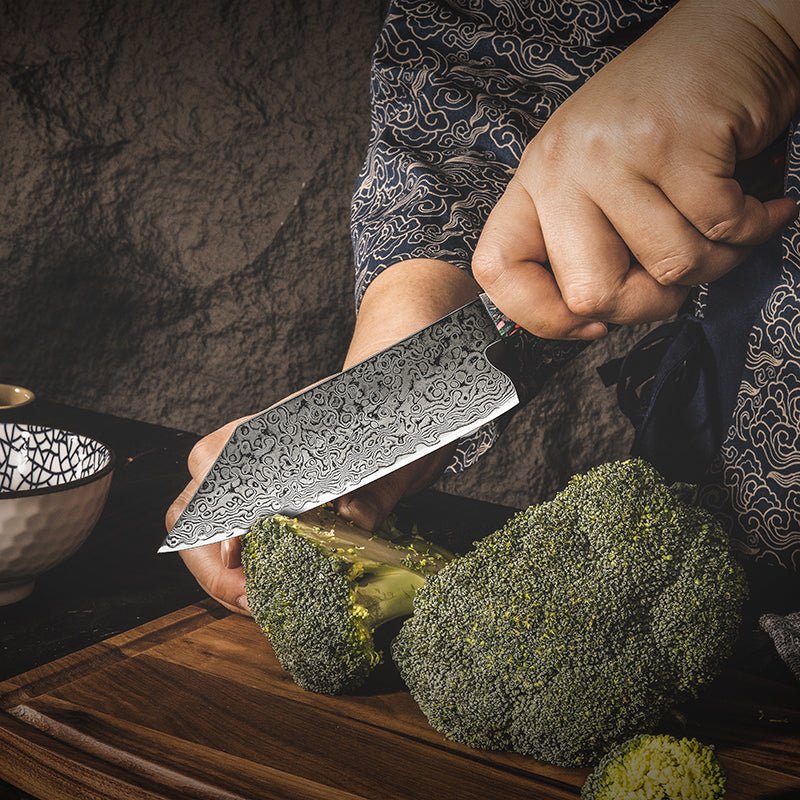 Chef knife - Pristine VG10 Chef Knife 10.5" with Exotic Olive Wood & Resin Handle - Shokunin USA