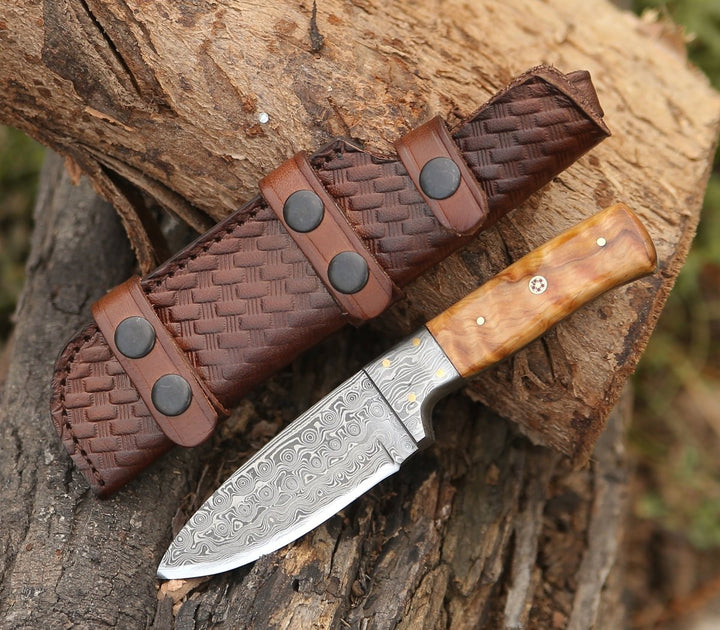 Camp Knife - Quantum Camp Knife with Olive Wood Handle - Shokunin USA