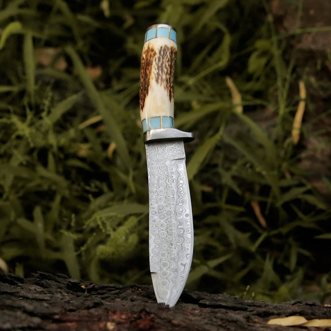 Damascus Knife - Viral Bull Nose Hunting Knife with Antler & Turquoise Handle - Shokunin USA