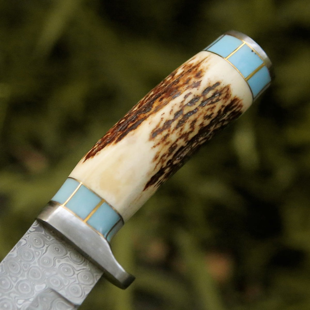 Damascus Knife - Viral Bull Nose Hunting Knife with Antler & Turquoise Handle - Shokunin USA