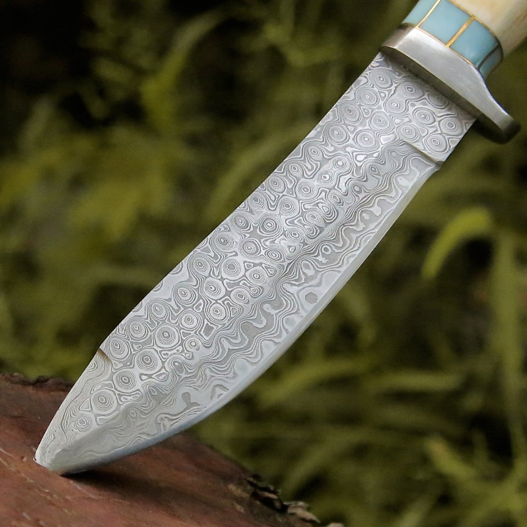 Damascus Knife - Viral Bull Nose Hunting Knife with Antler & Turquoise Handle - Shokunin USA