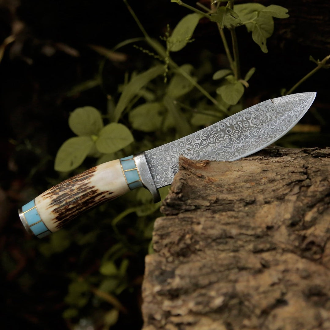 Damascus Knife - Viral Bull Nose Hunting Knife with Antler & Turquoise Handle - Shokunin USA