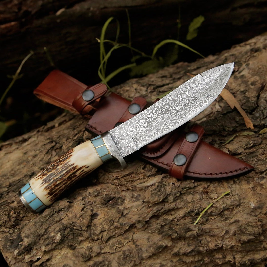 Damascus Knife - Viral Bull Nose Hunting Knife with Antler & Turquoise Handle - Shokunin USA