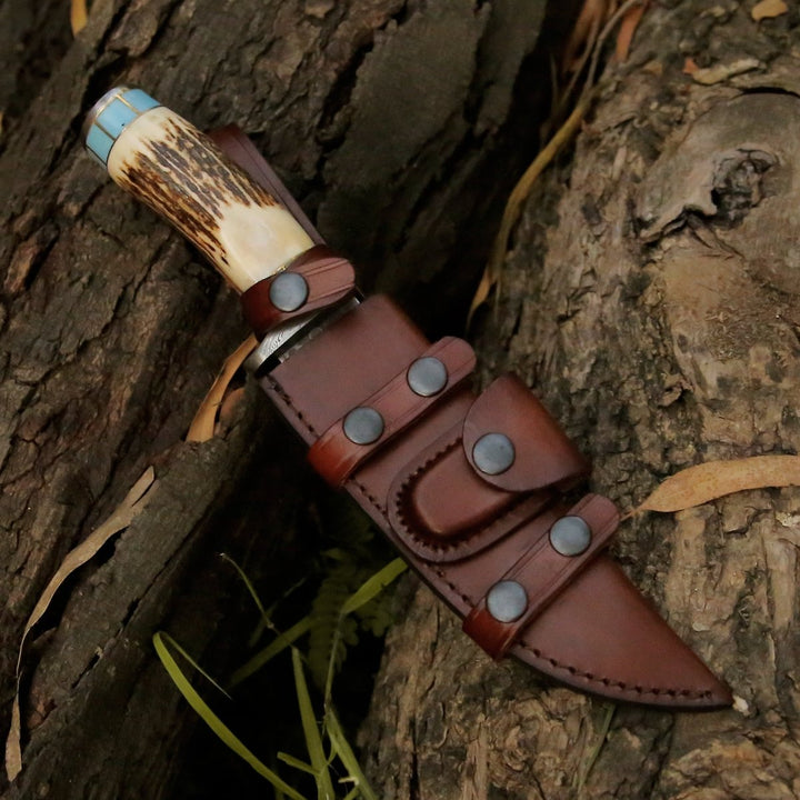 Damascus Knife - Viral Bull Nose Hunting Knife with Antler & Turquoise Handle - Shokunin USA