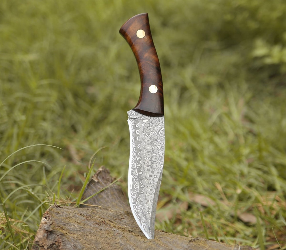 Damascus Knife - Virtue Damascus Hunting Knife Fixed Blade with Exotic Rose Wood Handle - Shokunin USA