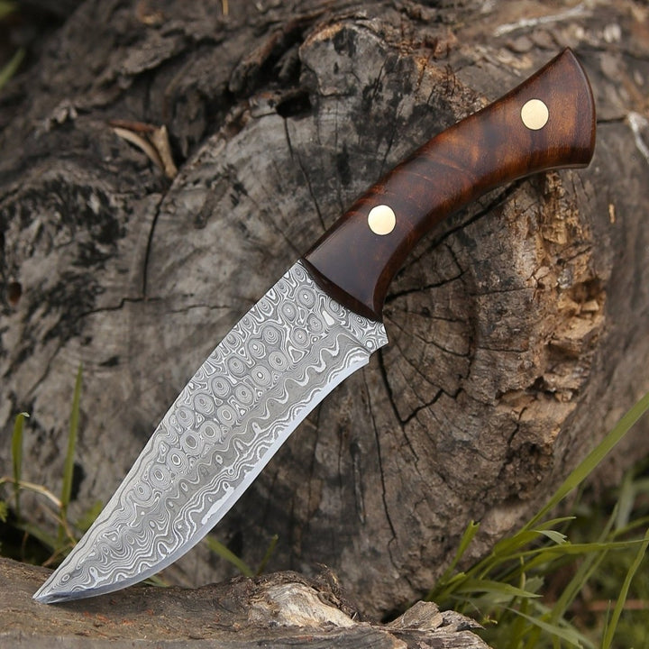 Damascus Knife - Virtue Damascus Hunting Knife Fixed Blade with Exotic Rose Wood Handle - Shokunin USA