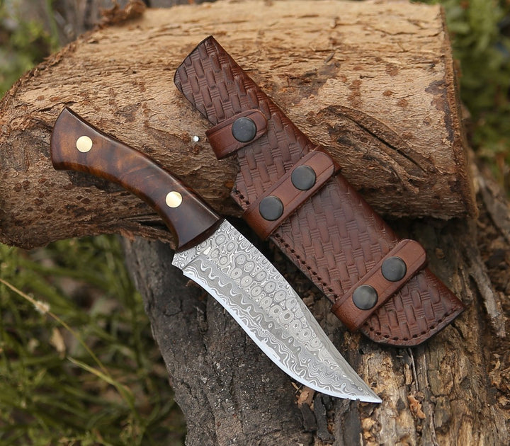 Damascus Knife - Virtue Damascus Hunting Knife Fixed Blade with Exotic Rose Wood Handle - Shokunin USA